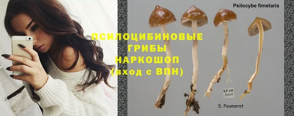 соль курить ск Балахна