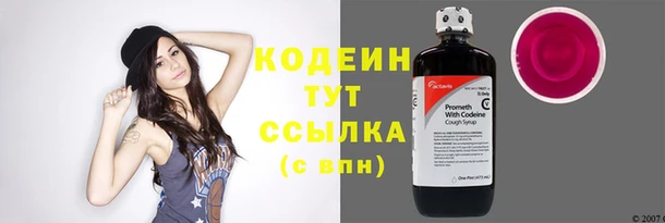 индика Покачи