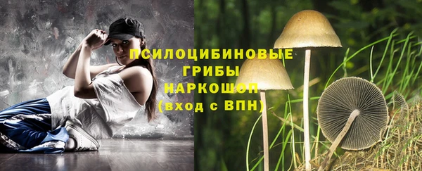 дживик Баксан